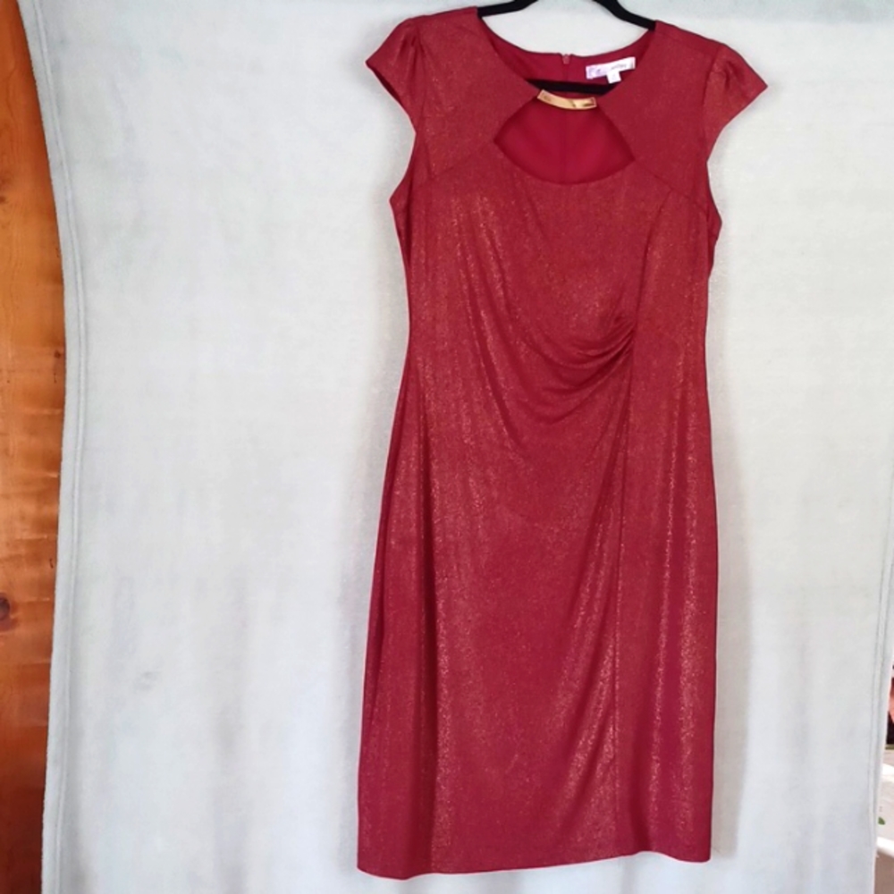 Triuhuology Women's Dress Size 10 Shimmery Red Dress With Ruching NWOT.  